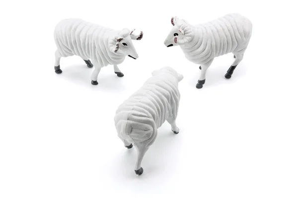 Merino Ram Figurines — Stock Photo, Image