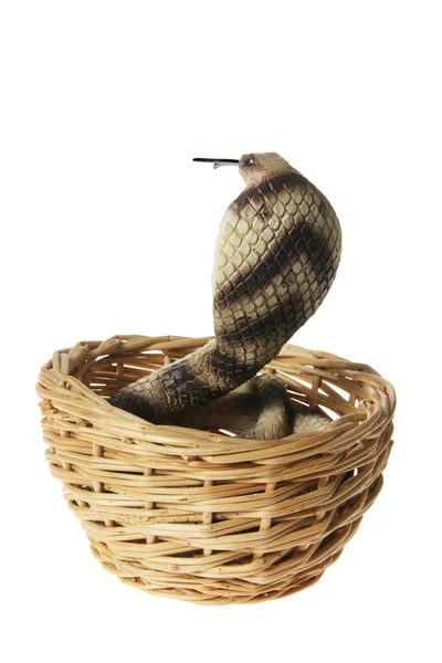 Cobra de goma —  Fotos de Stock
