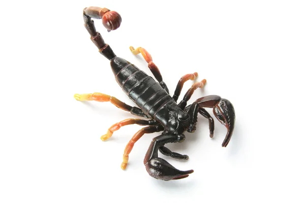 Plastové scorpion — Stock fotografie