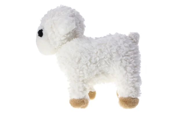 毛绒玩具小羊 — 图库照片