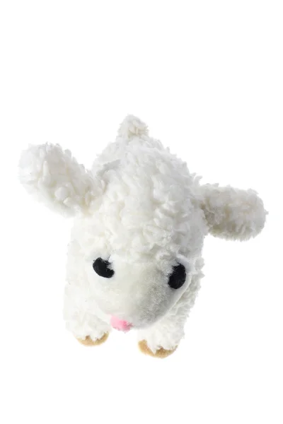 Soft Toy Lamb — Stock Photo, Image
