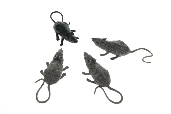 Іграшка щурів — стокове фото