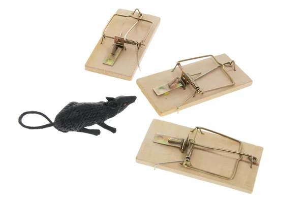 Toy Rat and Mousetraps — Stock Photo, Image