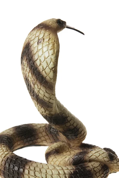 ゴムのコブラ — ストック写真