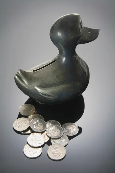 Caja de monedas de pato —  Fotos de Stock