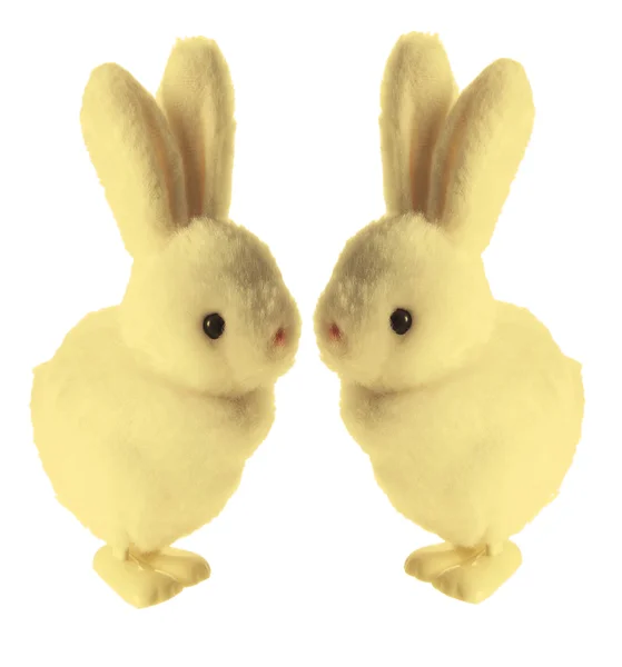 Poulets de Pâques aux oreilles de lapin — Photo