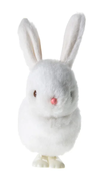 ウサギの頭でイースター チキン — ストック写真