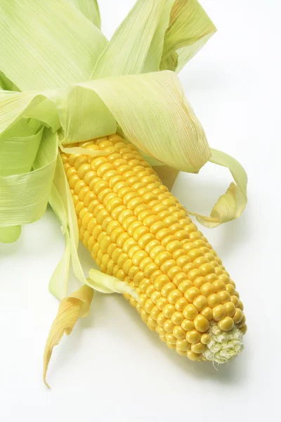 Kolby kukurydzy — Zdjęcie stockowe