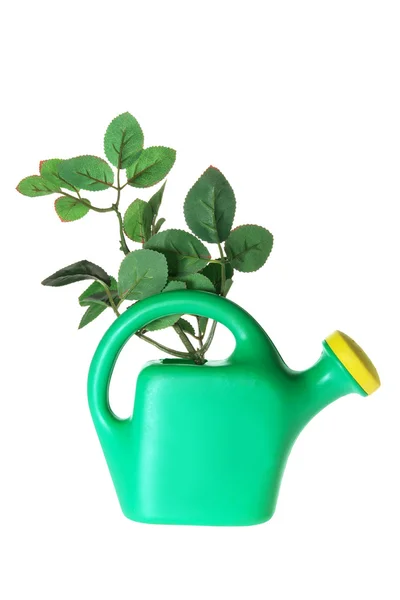 Watering Can and Leaves — Stock Photo, Image