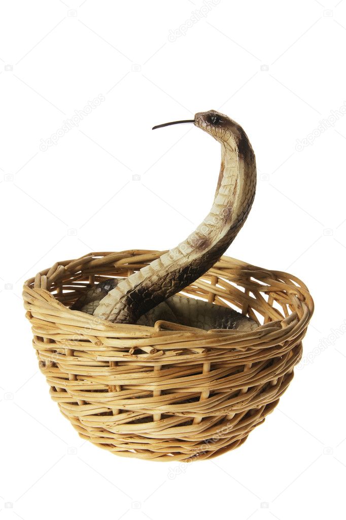 Rubber Cobra in Basket