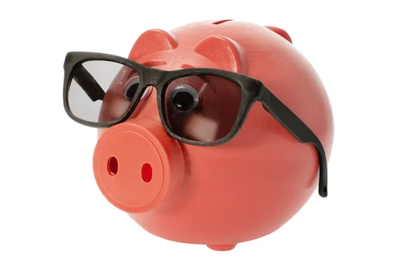 Banco porquinho com óculos de sol — Fotografia de Stock