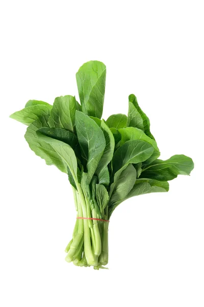 Bunch of Choy Sum — Stock Photo, Image