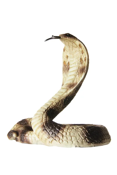 Rubber Cobra — Stock Photo, Image
