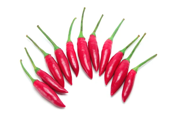 Piros chili — Stock Fotó