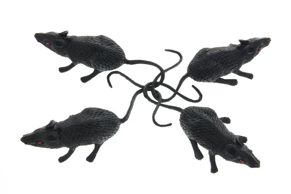 Speelgoed ratten — Stockfoto