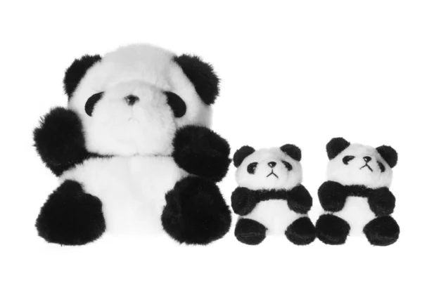 Panda brinquedo macio — Fotografia de Stock