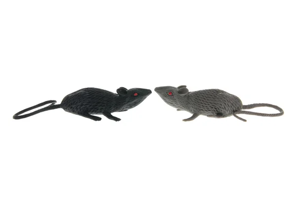 Leksaken råttorna Stockbild