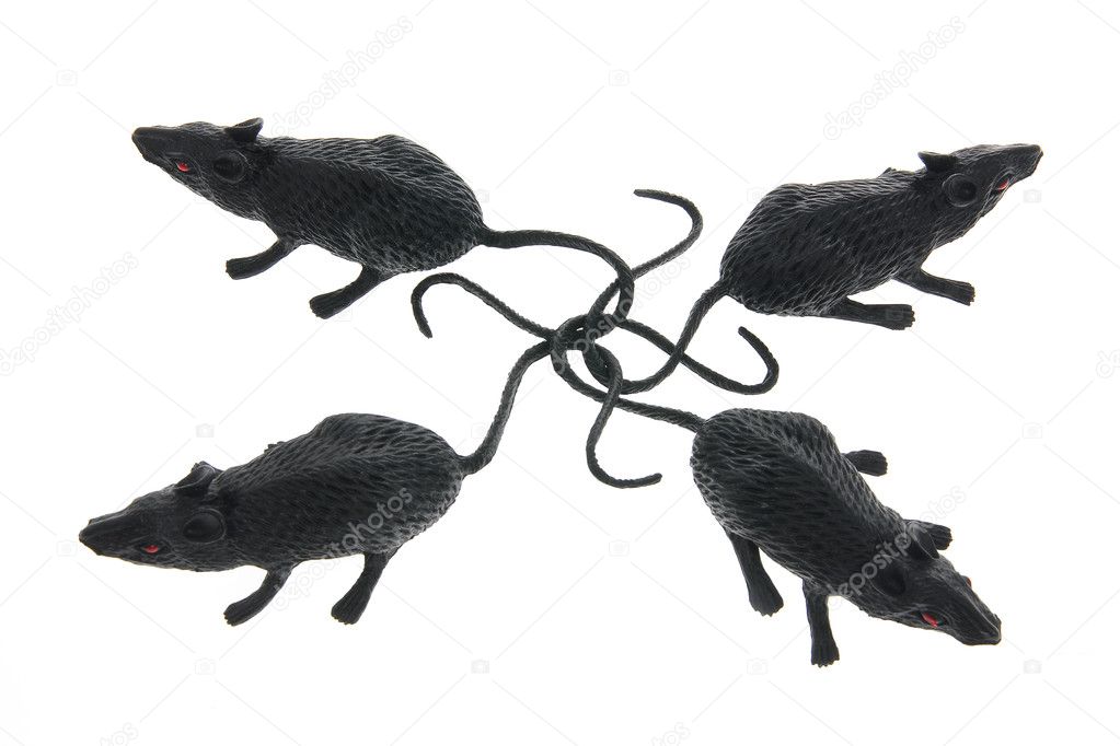 Toy Rats