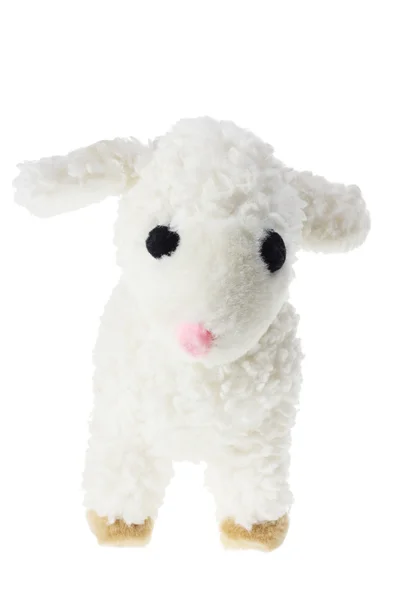 毛绒玩具小羊 — 图库照片