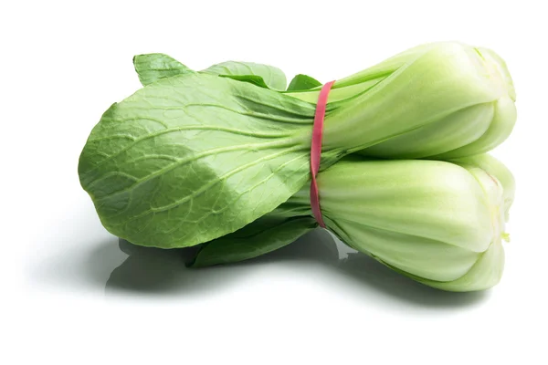Chinese Cabbage — Stock Photo, Image