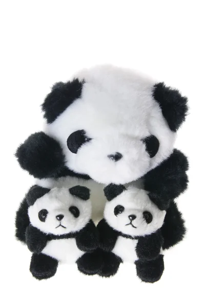 Pandas brinquedo macio — Fotografia de Stock