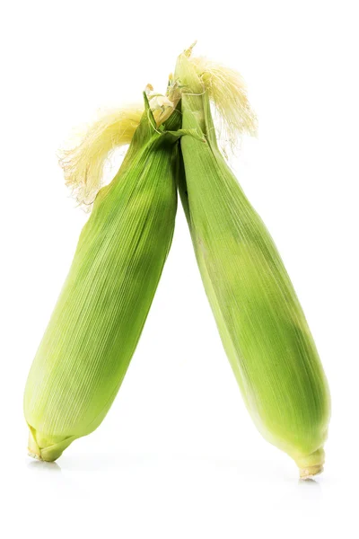 Corn Cobs — Stock Photo, Image