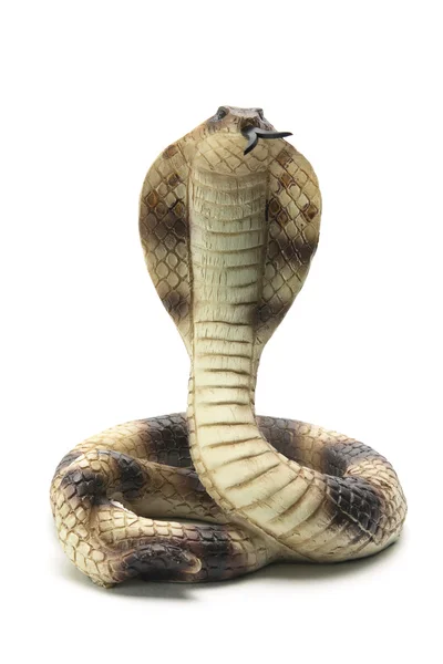 Rubber Cobra — Stockfoto