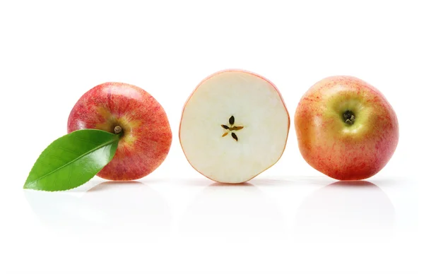 Rad av skivad gala äpple — Stockfoto