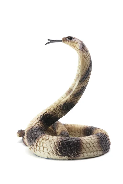 Резиновая кобра — стоковое фото