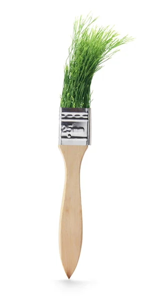 Paint Brush with Pine Leaves — Stock Photo, Image