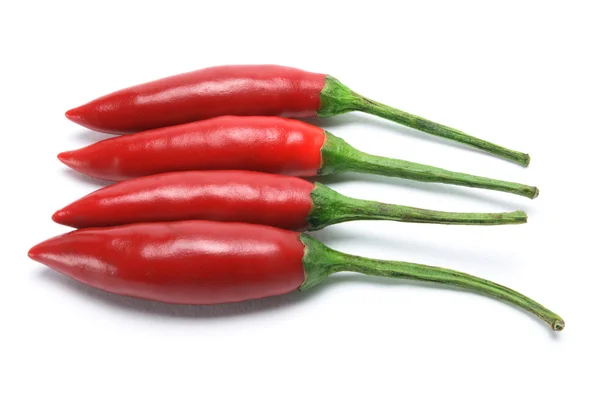 Red Chilli — Stock Photo, Image