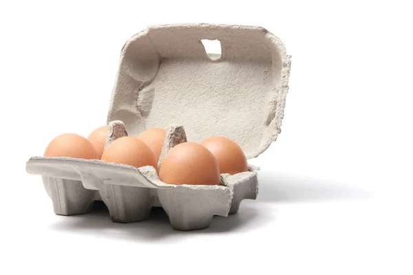 Bruin eieren op karton — Stockfoto