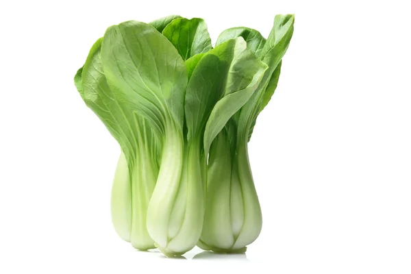 Chinese Cabbage — Stock Photo, Image