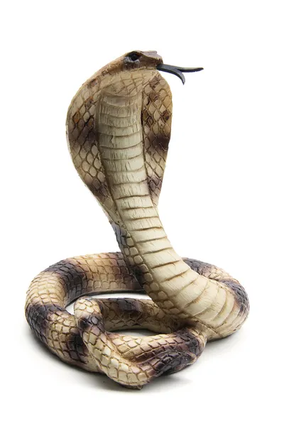 Cobra de goma Imagen de archivo