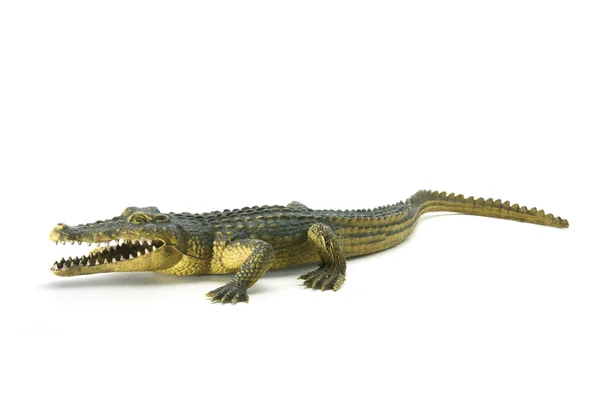 Crocodilo de borracha Imagem De Stock