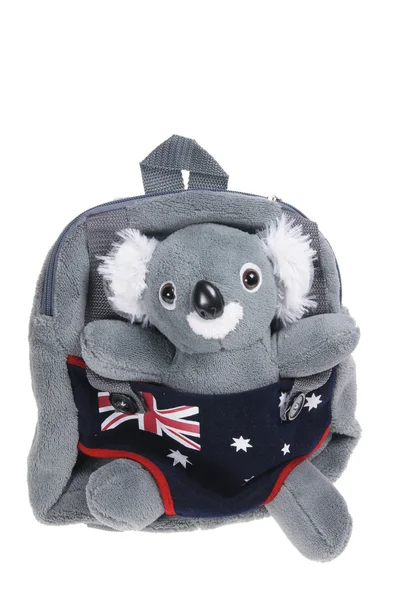 Koala terug pack — Stockfoto