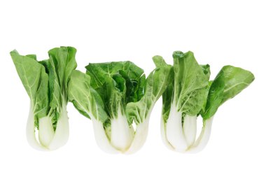 Baby Bok Choy clipart