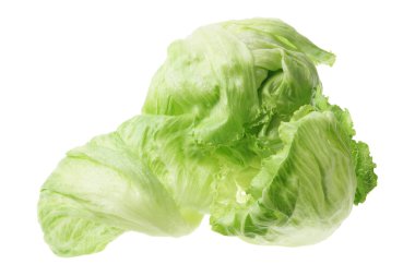 Iceberg Lettuce clipart