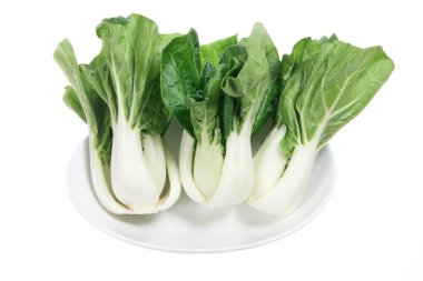 bebek bok choy