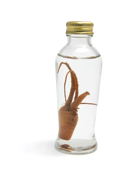 Ginseng in Bottle — Stock Photo, Image