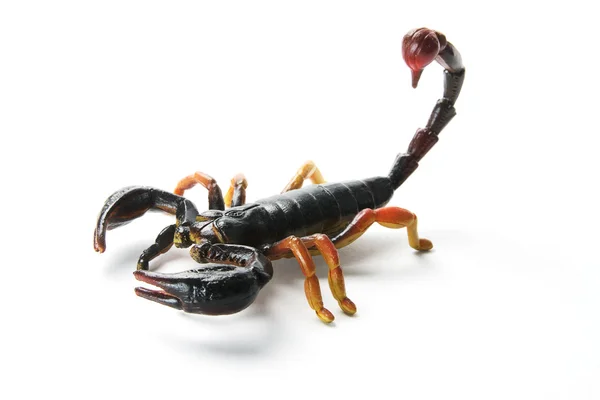 Skorpion z tworzyw sztucznych — Zdjęcie stockowe