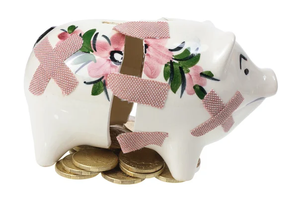 stock image Broken Piggy Bank and Coins