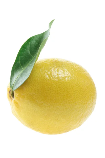 Zitrone mit Blatt — Stockfoto