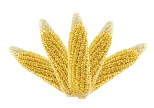 Corn Cobs — Stock Photo, Image