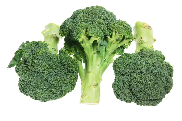Broccoli Florets — Stock Photo, Image