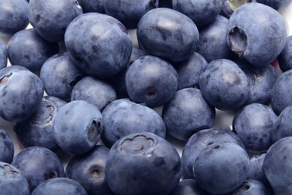 Blue Berries — Stock Photo, Image