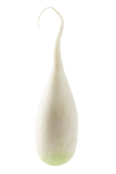 Beyaz turp — Stok fotoğraf