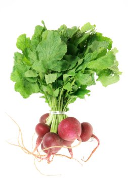 kırmızı turp