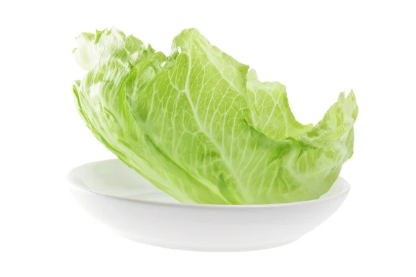 Iceberg Lettuce on Plate — Stock Photo, Image