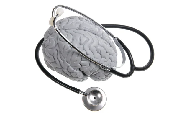 stock image Brain Specimen and Stethoscope